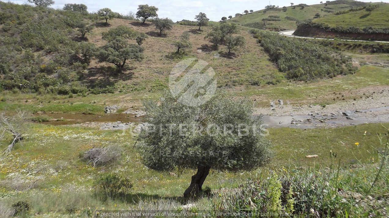 Algarve, ,Terreno,Para Venda,1031