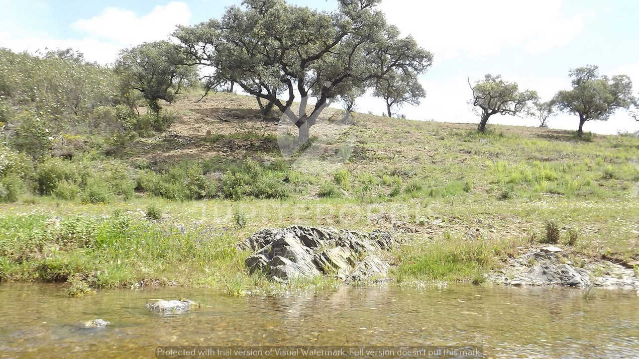 Algarve, ,Terreno,Para Venda,1031