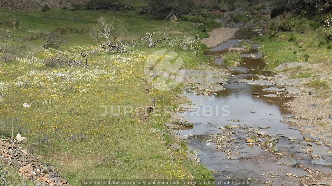 Algarve, ,Terreno,Para Venda,1031