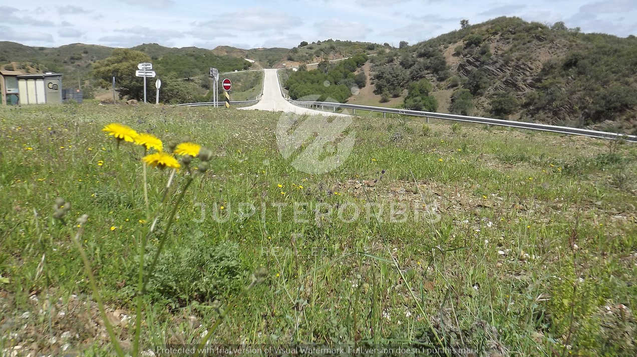 Algarve, ,Terreno,Para Venda,1031