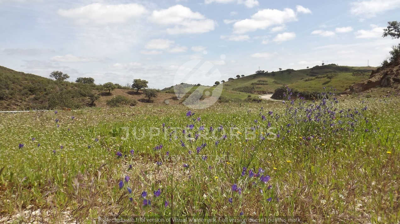 Algarve, ,Terreno,Para Venda,1031