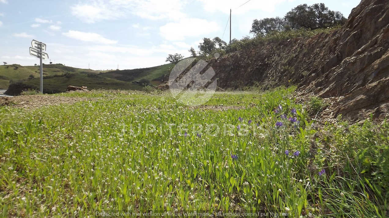 Algarve, ,Terreno,Para Venda,1031