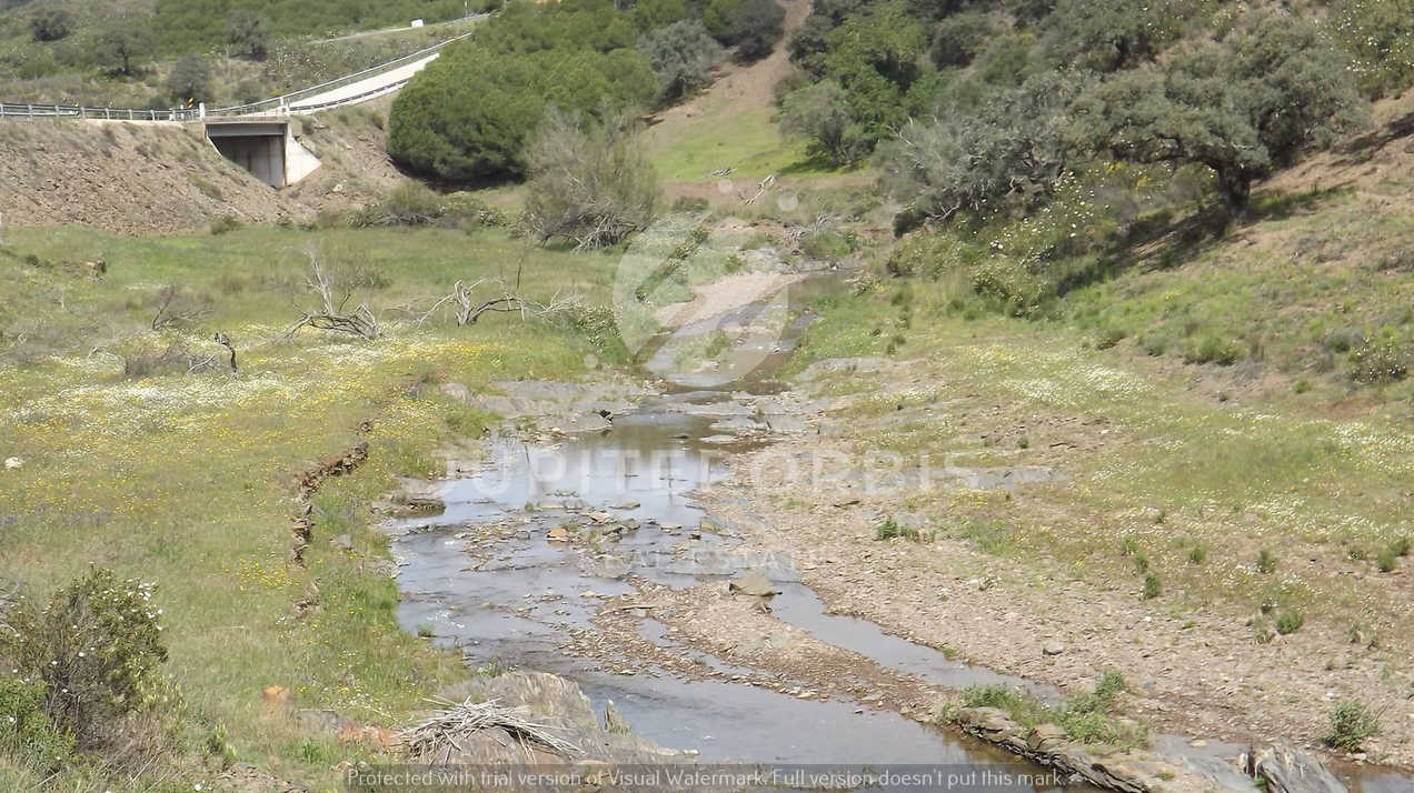 Algarve, ,Terreno,Para Venda,1031