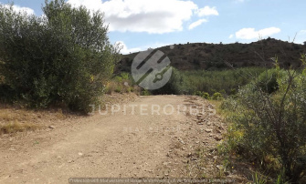 Algarve, ,Terreno,Para Venda,1037