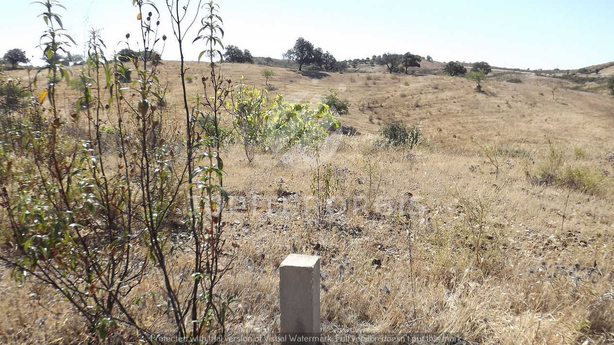 Algarve, ,Terreno,Para Venda,1038