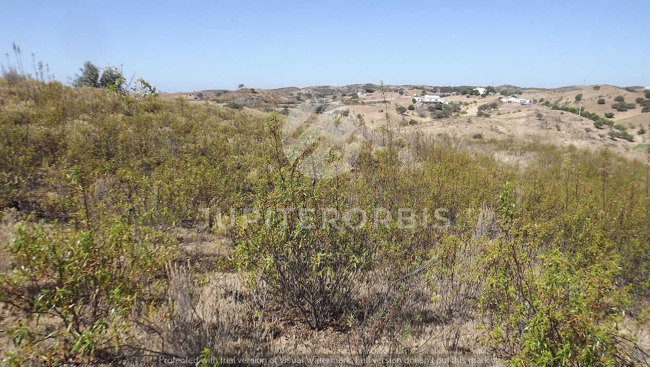 Algarve, ,Terreno,Para Venda,1038