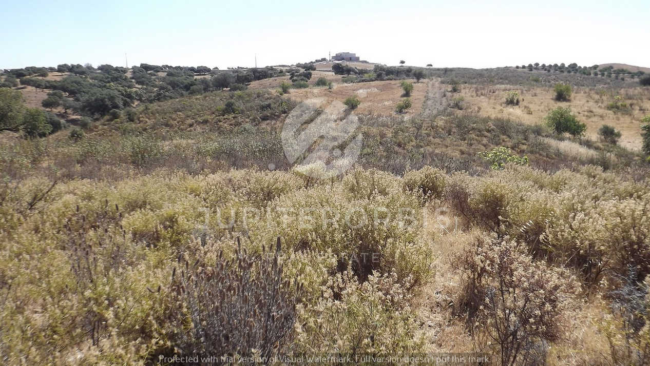Algarve, ,Terreno,Para Venda,1038