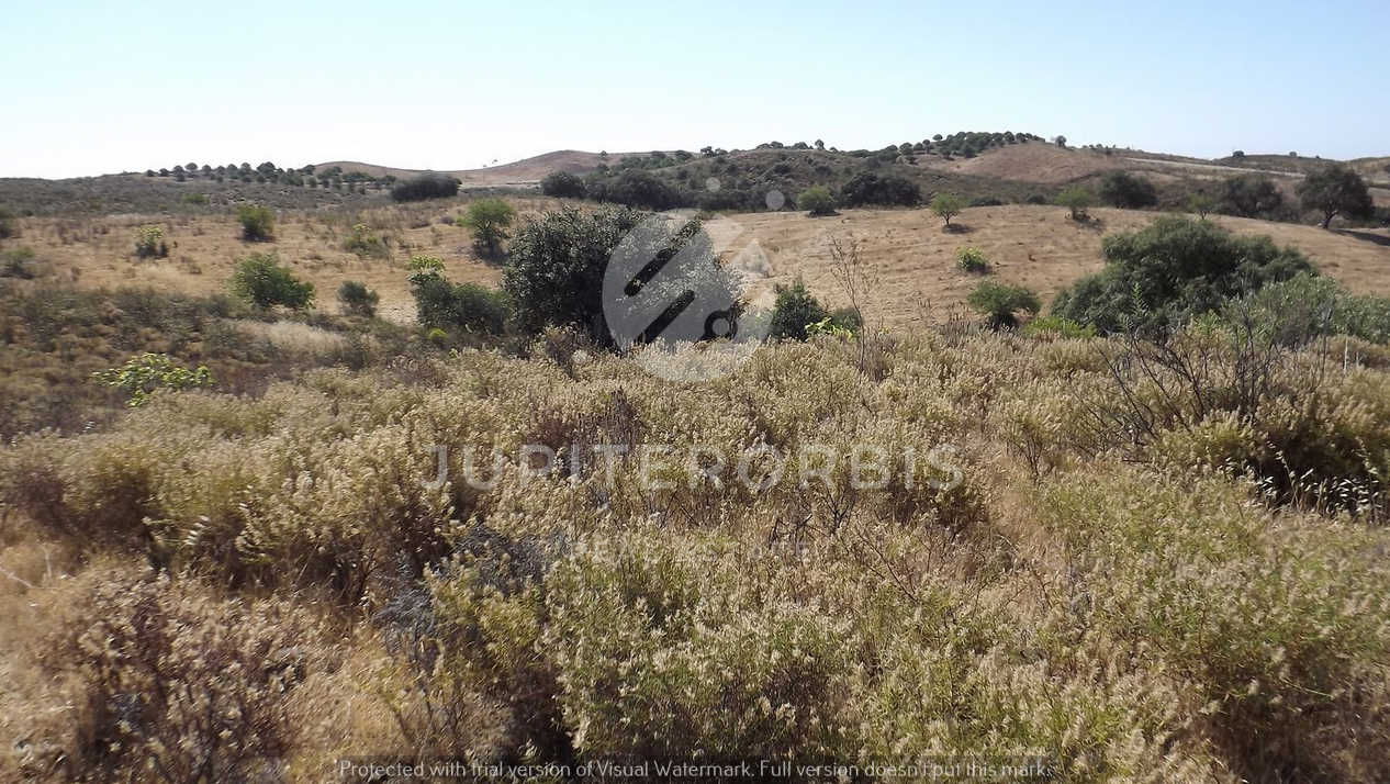 Algarve, ,Terreno,Para Venda,1038