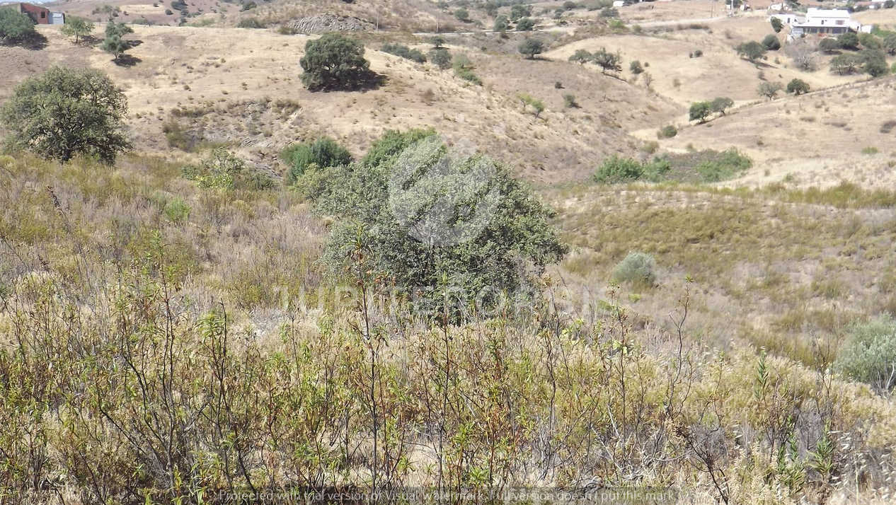 Algarve, ,Terreno,Para Venda,1038