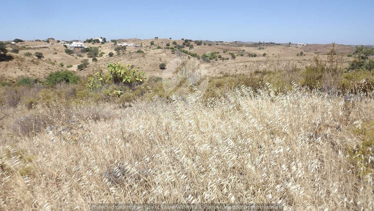 Algarve, ,Terreno,Para Venda,1038