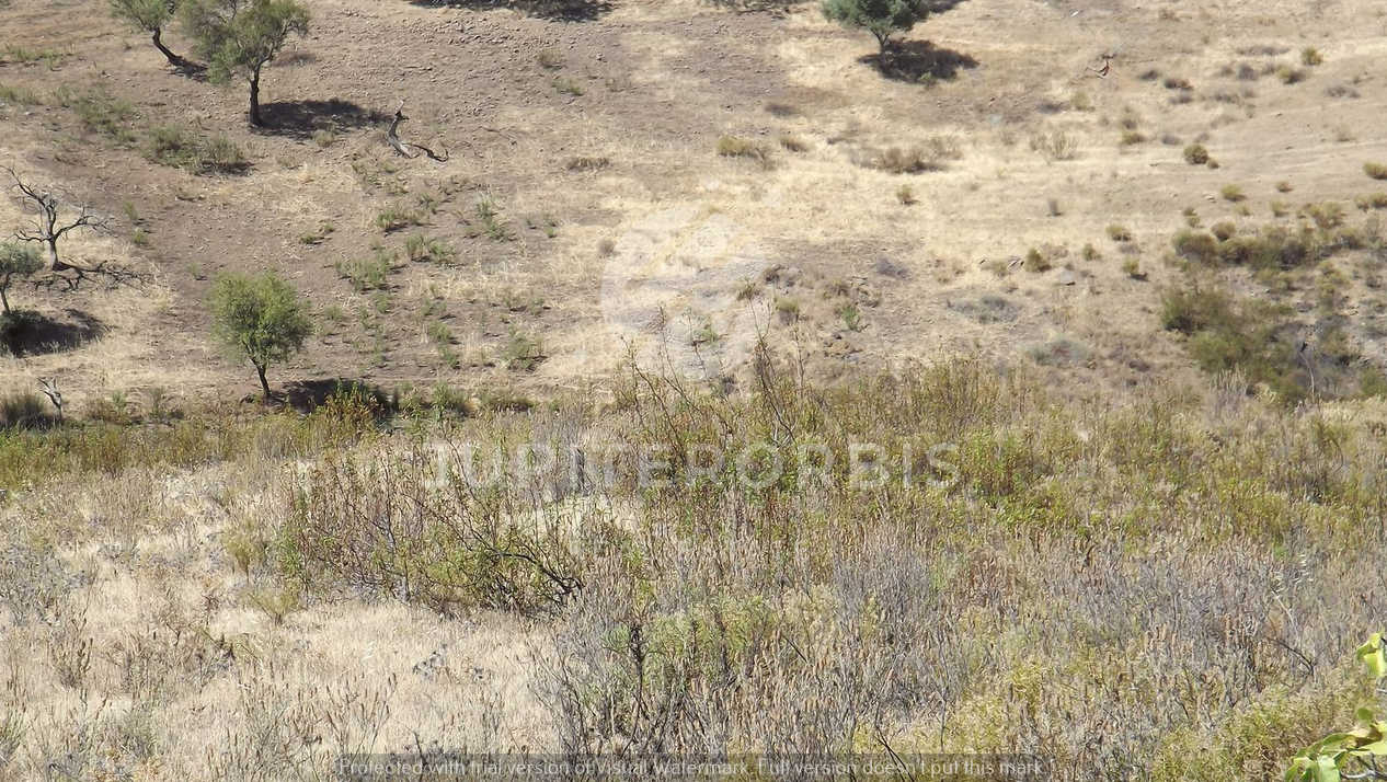 Algarve, ,Terreno,Para Venda,1038