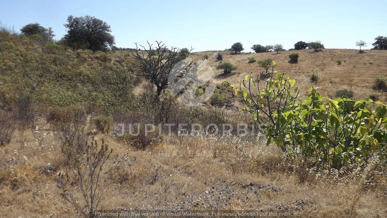 Algarve, ,Terreno,Para Venda,1038