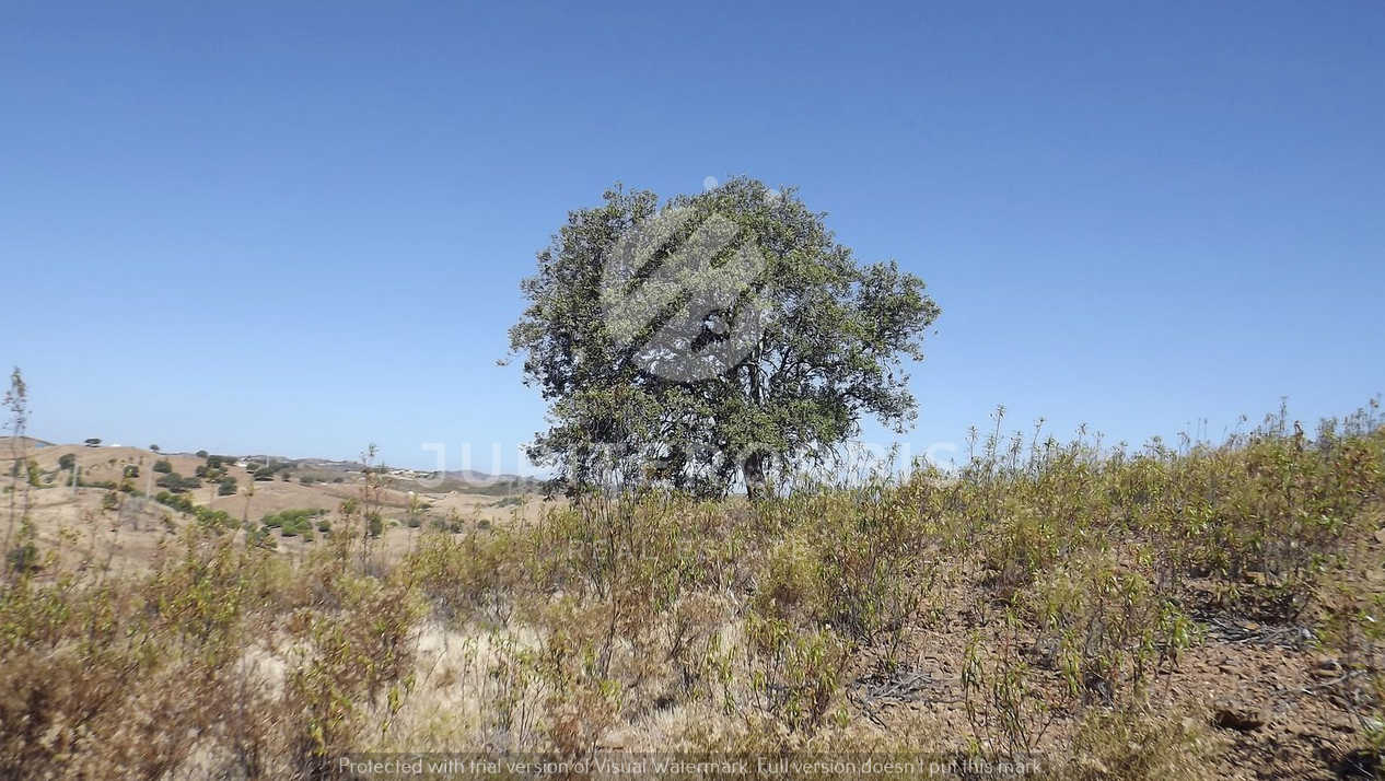 Algarve, ,Terreno,Para Venda,1038