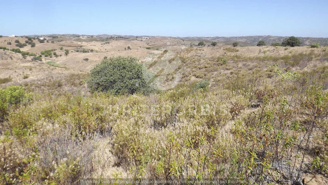 Algarve, ,Terreno,Para Venda,1038