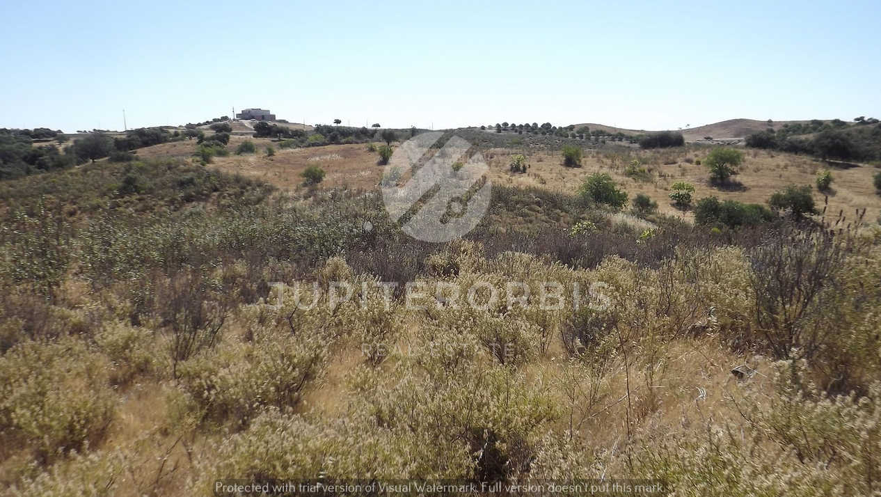 Algarve, ,Terreno,Para Venda,1038