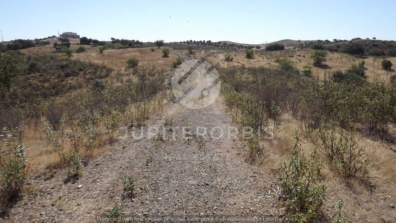 Algarve, ,Terreno,Para Venda,1038