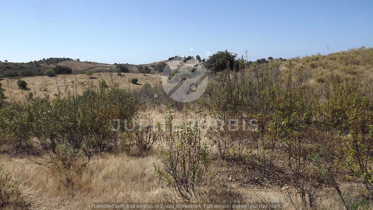 Algarve, ,Terreno,Para Venda,1038