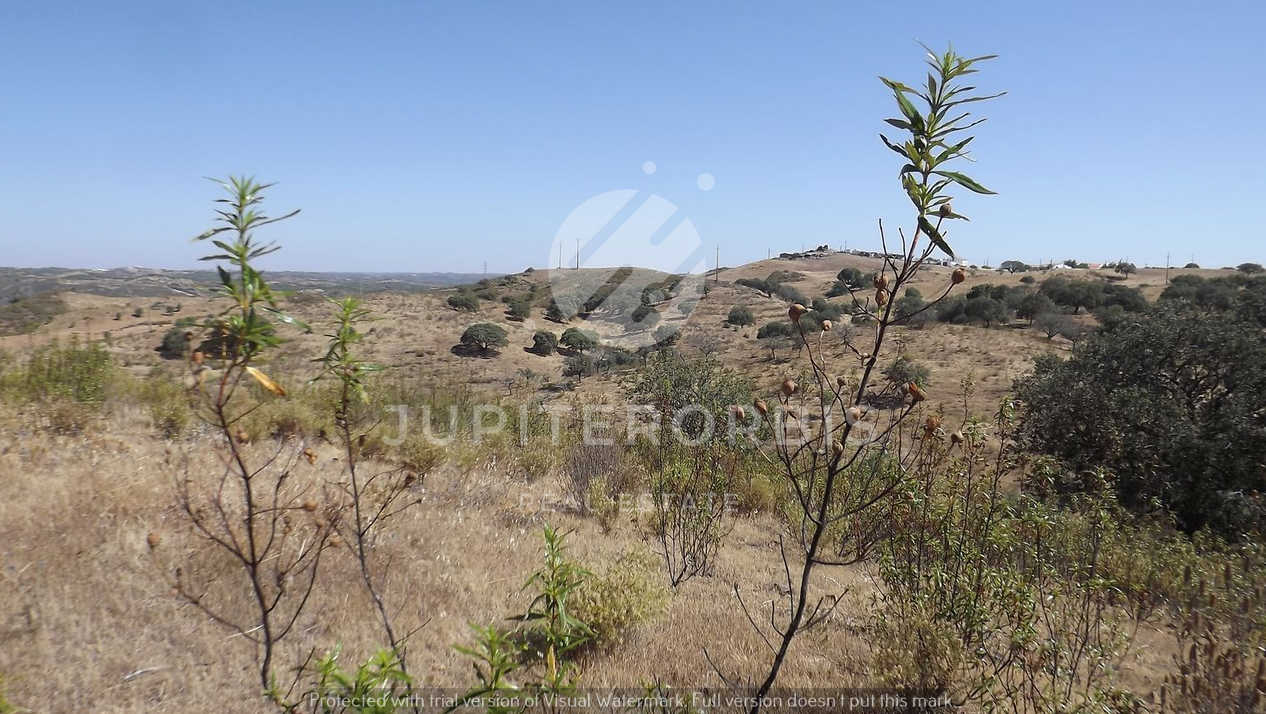 Algarve, ,Terreno,Para Venda,1038