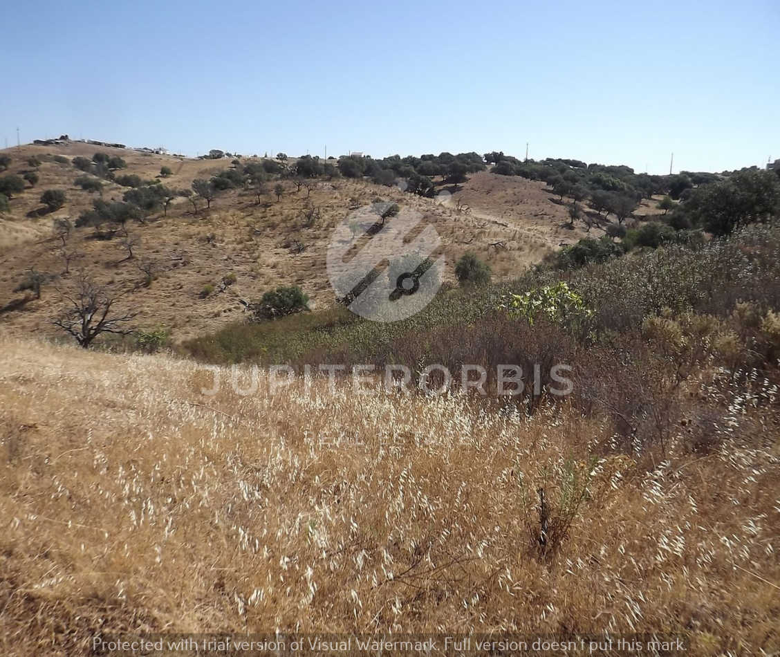 Algarve, ,Terreno,Para Venda,1038