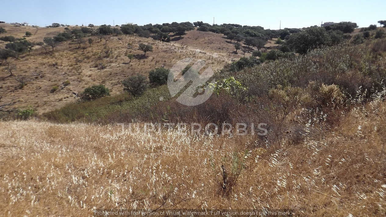 Algarve, ,Terreno,Para Venda,1038