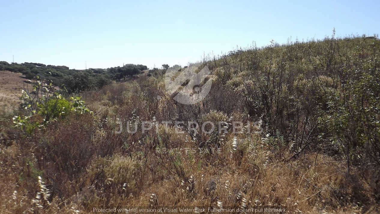 Algarve, ,Terreno,Para Venda,1038