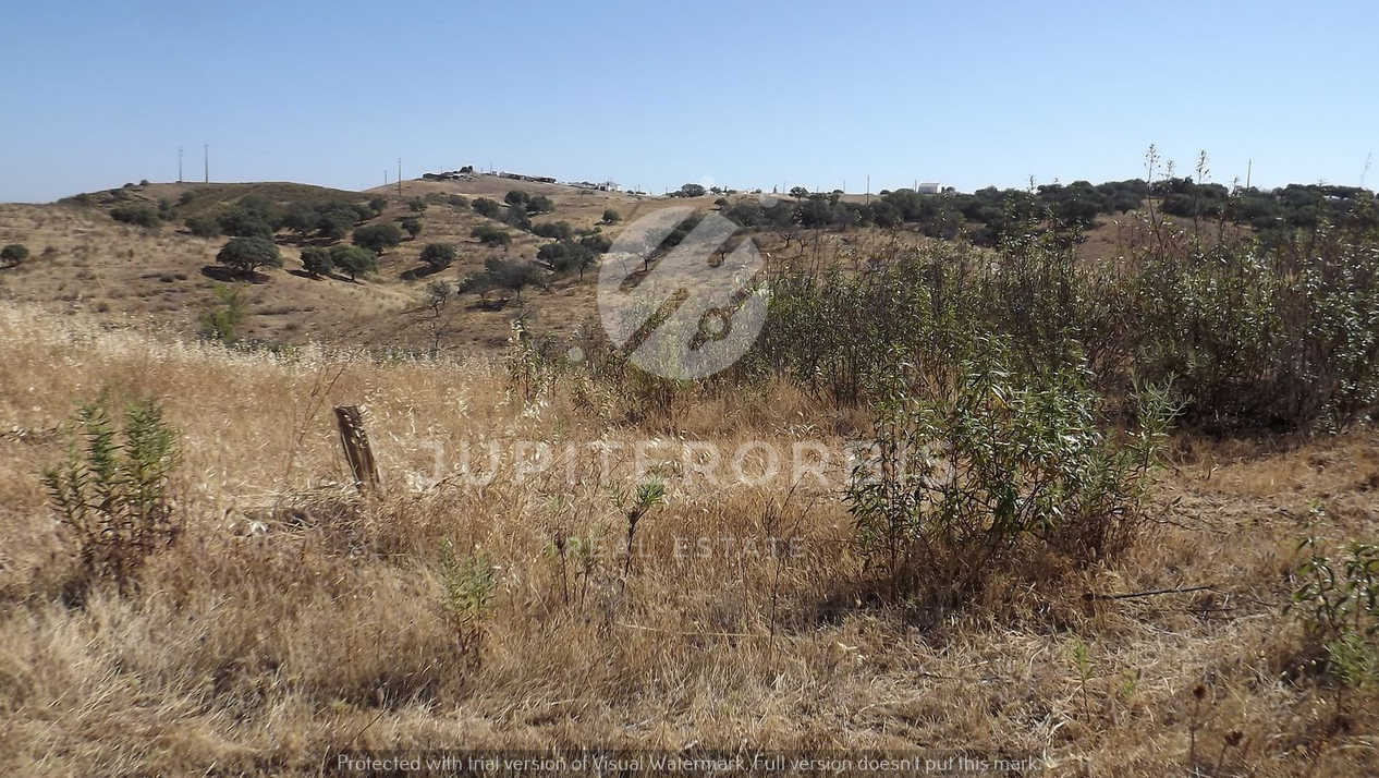 Algarve, ,Terreno,Para Venda,1038