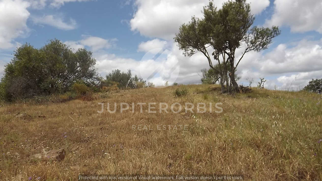 Algarve, ,Terreno,Para Venda,1039