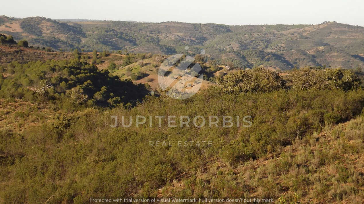 Algarve, ,Land,For Sale,1043